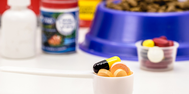 Pharmaceutical and nutraceutical products for veterinary care at Companion Care Veterinary Hospital.